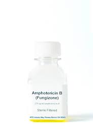 Image result for Amphotericin B