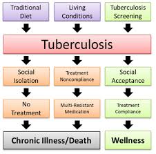 Example 6 Talaku Fighting Tb In The Maasai Community