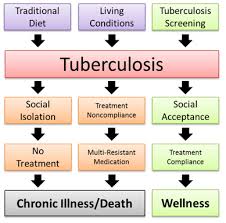 Example 6 Talaku Fighting Tb In The Maasai Community