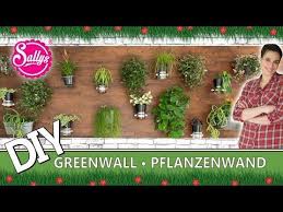Eine Green Wall Ganz Einfach Selber Machen Diy Sallys Welt Youtube Sallys Welt Pflanzen Pflanzenwand