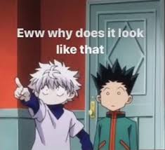 Gon And Killua Funny Anime Pics Anime Funny Anime Memes Funny