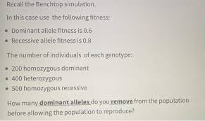 Why is it that dominant alleles are often the better ones? Recall The Benchtop Simulation In This Case Use T Chegg Com