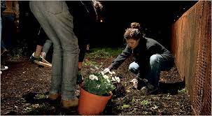 Guerrilla Gardening In London Richard Reynolds The New York Times