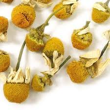Derived from the asteraceae family of plants, the flowers of this plant can be dried and used for different herbal and natural remedies and poultices, as well as its most popular form is tea. Amazon Com Sierra Tea Dried Roman Chamomile Buds Herbal Tea 50g Grocery Tea Sampler Grocery Gourmet Food