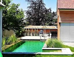 Naturpool Mit Stiegen Im Sonnigen Innenhof Schwimmteich Naturschwimmbecken Gartenpools