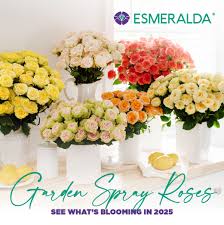 Flowersandcnets.com interview with Bill LaFever, President of the Bill  Doran Company