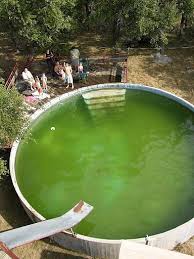 We Bought Two Galvanized Livestock Water Tanks From A Local Feed Store One Is Five Feet In Diameter And Th Stock Tank Pool Diy Tank Pool Livestock Water Tanks
