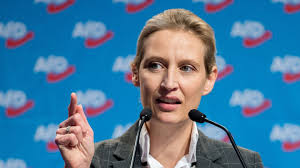 Zur ultima ratio gehört der einsatz von waffengewalt, sagte petry im gespräch mit dem. Afd Vorsitzende Alice Weidel Staatsanwalt Will Wegen Grossspende Ermitteln Stern De