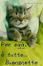 Immagini Belle Di Buonanotte Per Whatsapp Buongiornoamici It I migliori link per voi. immagini belle di buonanotte per