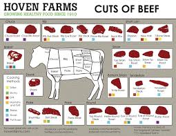 Poster Beef Cuts I Funnyphoto Co