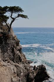 Whether you're traveling for business or pleasure, solo or with the whole family, you'll enjoy. 17 Mile Drive Ocean Summer Wander Wanderlust Big Sur Beach Pacific Ocean Carmel Cal California Photography Monterey California Carmel California
