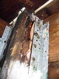 Maybe you would like to learn more about one of these? Just Another Example Of What Dry Rot May Look Like Sfw Construction Llc Home Repairs Fix It Repair