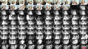 Sesión Porno Con Cruella Embarazada Desnuda- Eporner Porn Naked