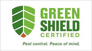 Our expert pest control technicians can eradicate all types of flying insects, crawling. Washington D C Takes Top Spot On Orkin S Top 50 Bed Bug Cities Pct Pest Control Technology