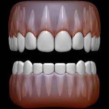 Teeth 3d Model Simple Character Low Poly Character 3d Model