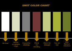 Snot Colour Chart This Is Very Scientific Lung Anatomy