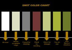 snot colour chart this is very scientific lung anatomy