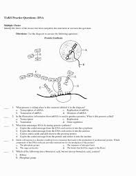 Shannan muskopf november 22, 2020. Protein Synthesis Coloring Worksheet Template Library