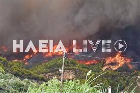 Πυρκαγιά ξέσπασε σε δασική έκταση στην περιοχή λασιώνος της αρχαίας ολυμπίας. 0uqfikp27hpwzm