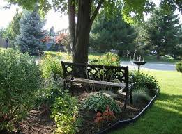 Front Garden Under The Maple Tree Front Yard Home Landscaping Shade Plants