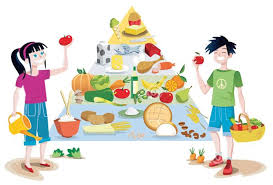 It turns out that one simple tool you probably want to avoid is an important tool you definitely. Secret To A Healthy Life Sunday Observer