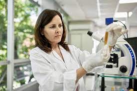 Albumin In Blut Urin Was Der Laborwert Bedeutet