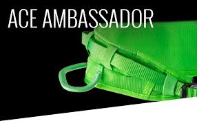 Amazon Com Edelrid Ace Ambassador Climbing Harness
