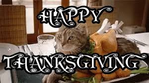 New users enjoy 60% off. Cat Thanksgiving Gifs Tenor