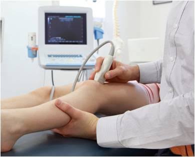 Musculoskeletal ultrasound diagnostic screen