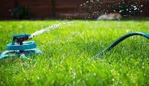 Once you understand it, your lawn will keep growing and become as green as your wish. Best Time To Water Grass Lawn Watering Tips Gilmour