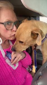 Please share Sam, four years of waiting is simply too long for a dog that's  this good 🐶❤️🐶❤️