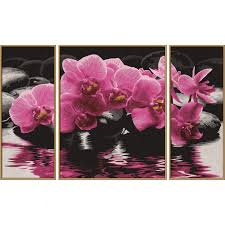 We did not find results for: Orchideen Malen Nach Zahlen Triptychon 40 99