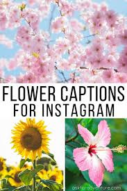 24 Short Flower Instagram Captions For Your Pictures In Bloom In 2020 Flower Captions For Instagram Instagram Captions Instagram Captions For Pictures