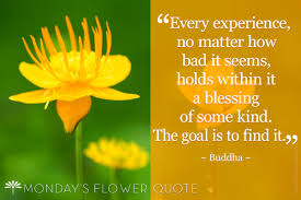 Create amazing picture quotes from gautama buddha quotations. Every Experience No Matter How Bad It Seems Buddha