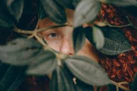 Image result for Laugh, Love, Learn...