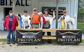 Cover Dog Field Trial Message Board : Lake States Field Trial Club Summer  Trial Results