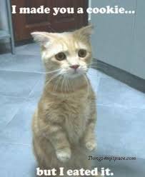 Collection Of Inspiring Quotes Sayings Images Wordsonimages Funny Animal Pictures Cute Funny Animals Cute Animals