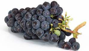 Would you like to be on a bright island full of adventure, secrets, funny characters, exciting. Dreaming Of Grapes Meaning And Symbolism