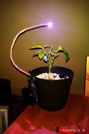 Plug the lights into the power strip timer and plug the timer into the outlet. Battery Powered Led Grow Light Grow Lights Led Grow Lights Led Grow