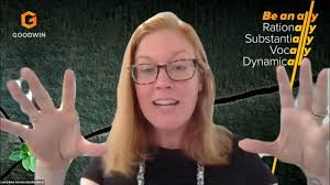 #WIL2021 Panel 1: Strategies for Promoting Equity and Inclusion in Legal  Workplaces