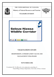 Image result for Otiophora pycnostachys