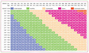 54 Logical Body Bone Mass Percentage Chart