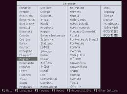 Risultati immagini per encrypted ubuntu installation