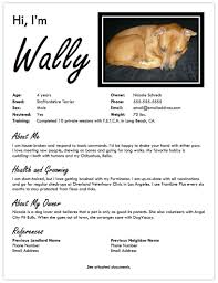 Check spelling or type a new query. Pet Care Associate Resume July 2021