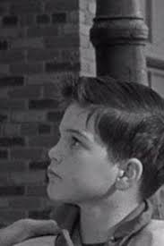 The Donna Reed Show season 4 Donna Meets Roberta Reviews