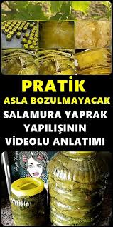Asla Bozulmayacak Salamura Yaprak Yapilisi Turkish Cuisine Yummy Middle Eastern