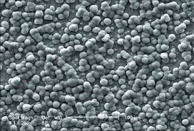 Scanning electron microscopy micrograph of barium titanate surface ...