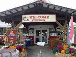 We are pressing daily now! Cold Hollow Cider Mill Picture Of Cold Hollow Cider Mill Waterbury Center Tripadvisor