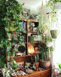 All Of These Indoor Plants Are Easy To Keep Alive And Perfect For Small Spaces Indoorplants Plants Diyhomedecor Room With Plants Plant Decor Plants