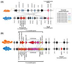 A reality where monsters are trying to wipe out humanity. Animals February 2021 Browse Articles
